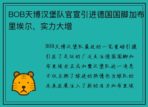 BOB天博汉堡队官宣引进德国国脚加布里埃尔，实力大增